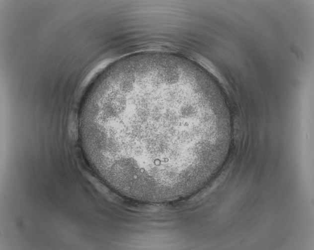 X0000113561067200910161451
