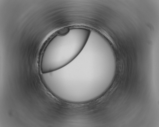 X0000113561068200910161451