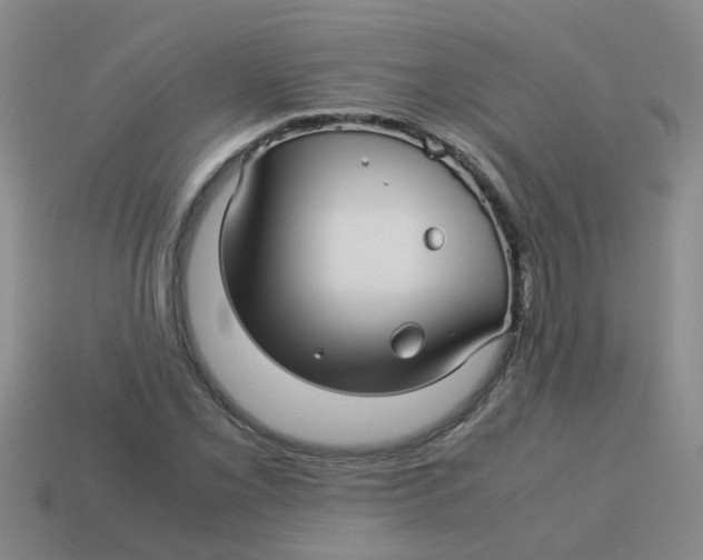 X0000113561069200910161451