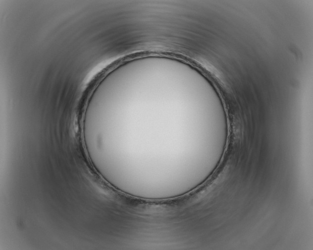 X0000113561070200910161451