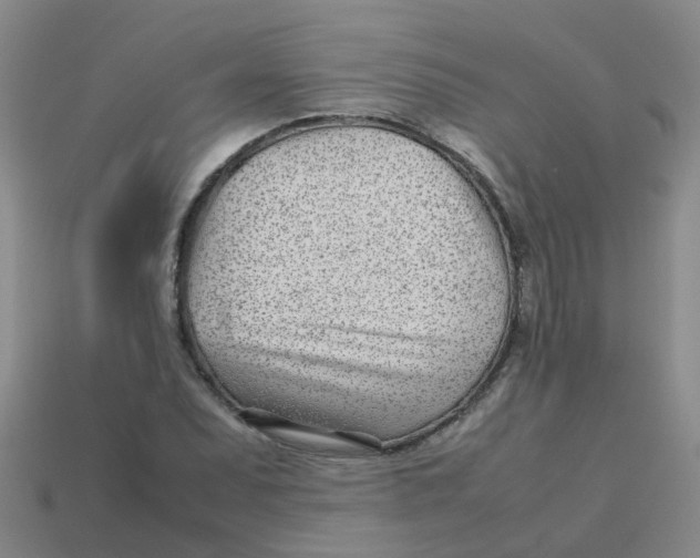 X0000113561071200910161451