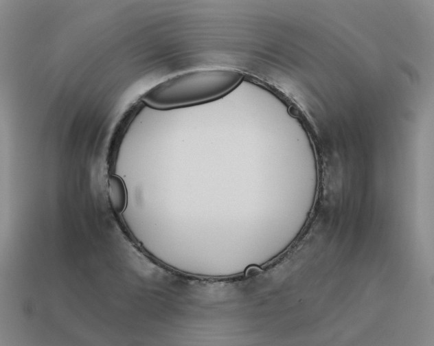 X0000113561072200910161451