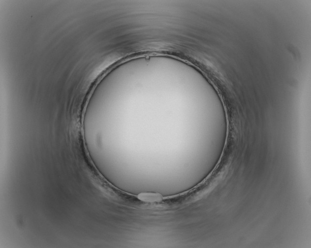 X0000113561073200910161451