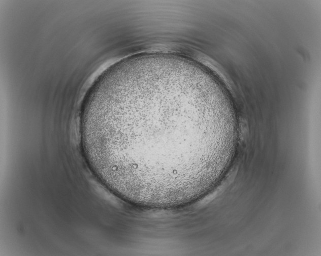 X0000113561075200910161451