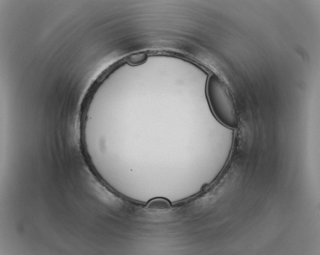 X0000113561076200910161451