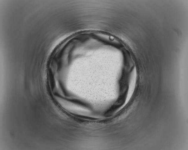 X0000113561077200910161451