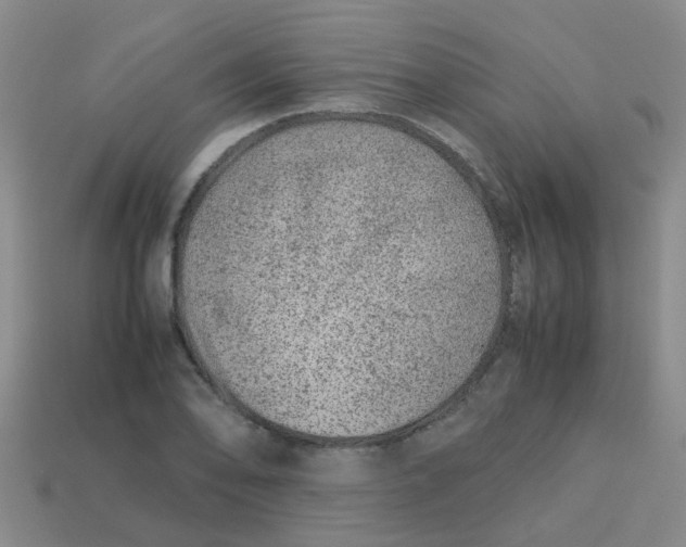 X0000113561078200910161451
