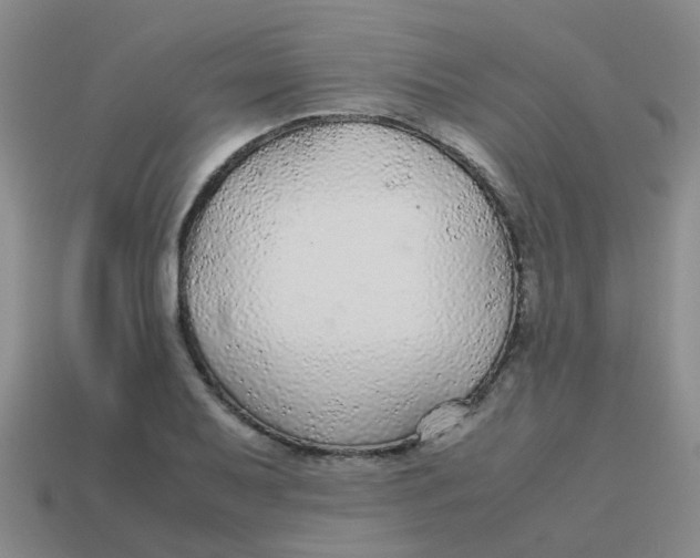 X0000113561079200910161451