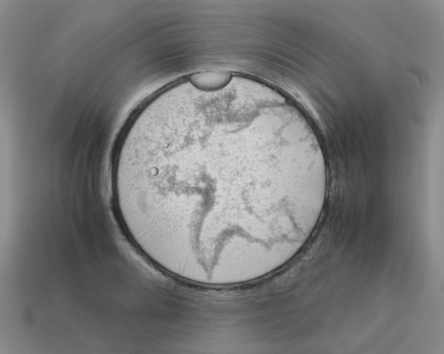 X0000113561080200910161451