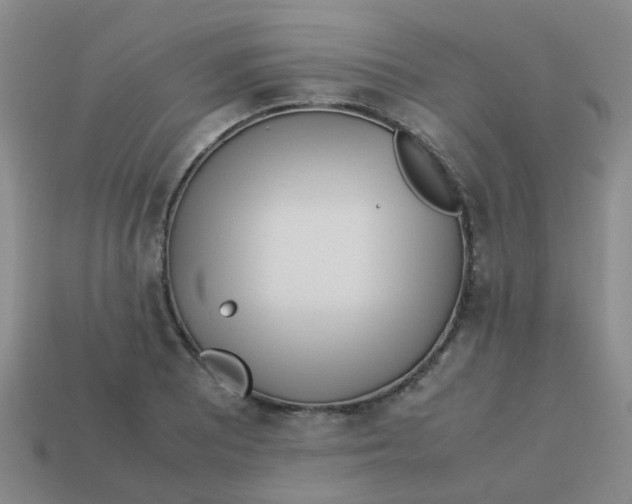 X0000113561081200910161451