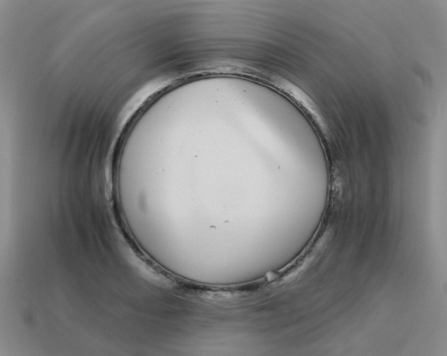 X0000113561082200910161451