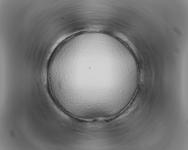 X0000113561083200910161451