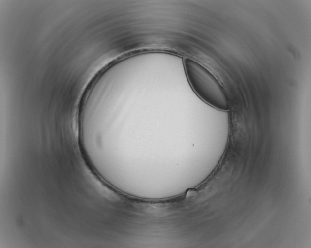 X0000113561084200910161451