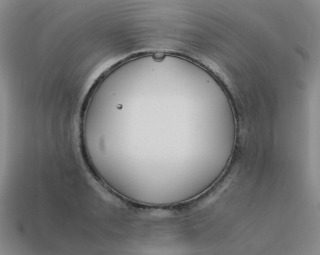 X0000113561085200910161451