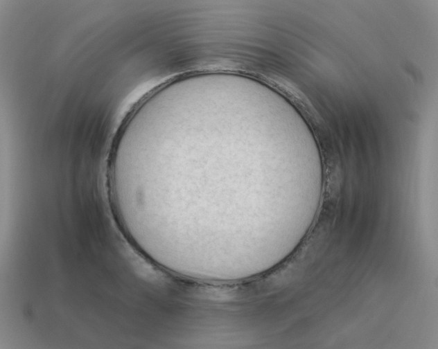 X0000113561086200910161451