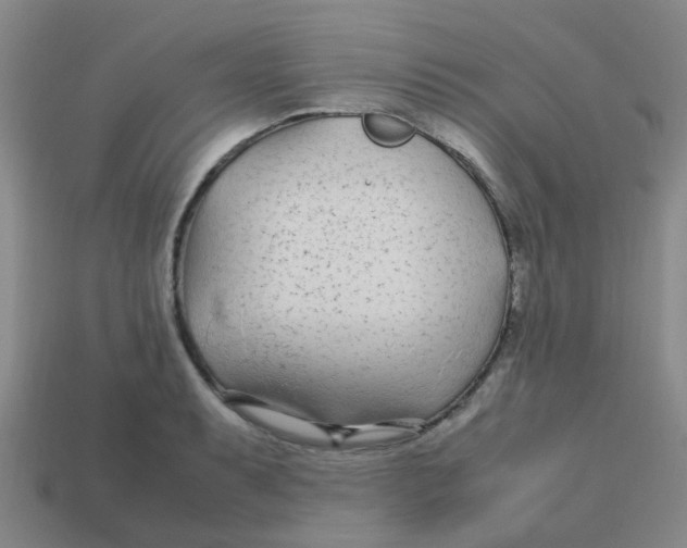X0000113561087200910161451