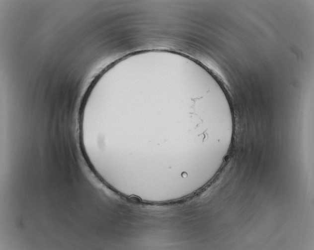 X0000113561088200910161451
