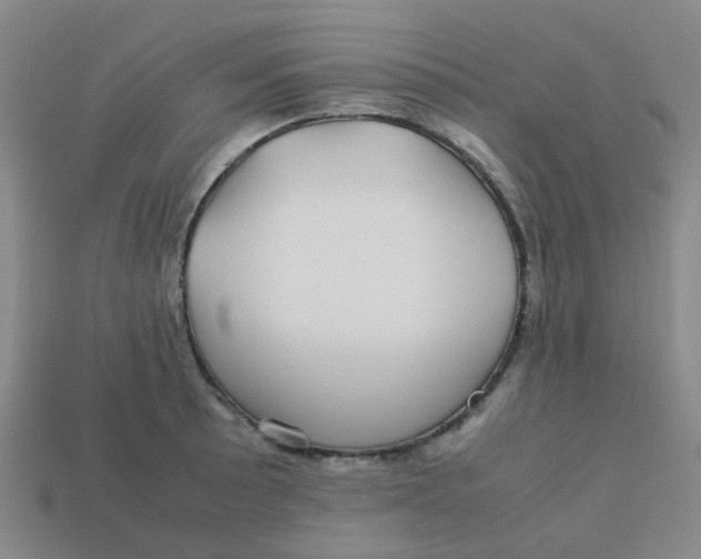 X0000113561089200910161451