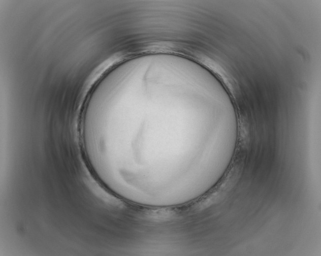 X0000113561090200910161451
