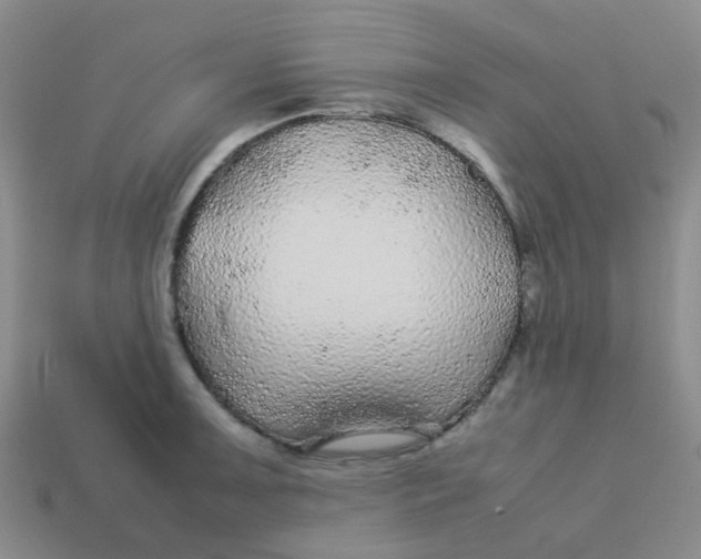 X0000113561091200910161451