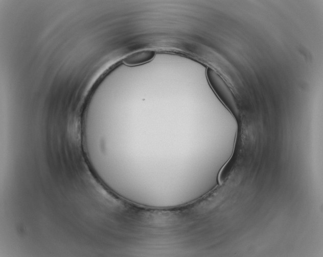 X0000113561092200910161451