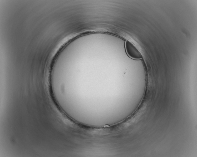 X0000113561093200910161451