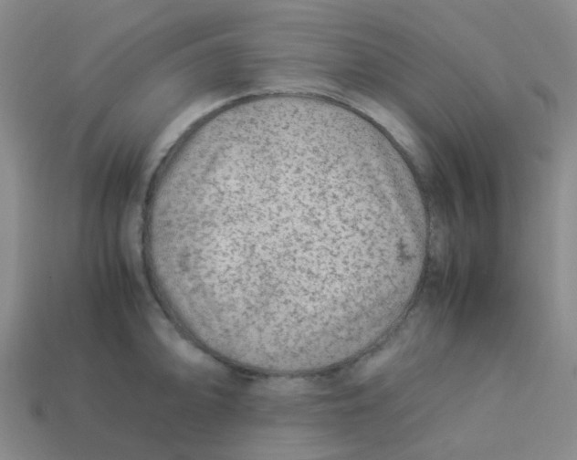 X0000113561094200910161451