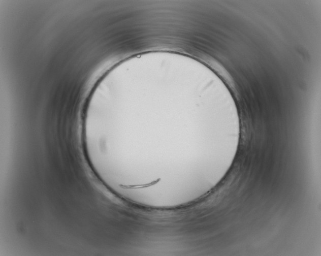 X0000113561096200910161451