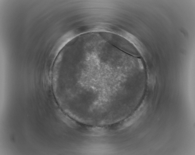X0000113561097200910161451