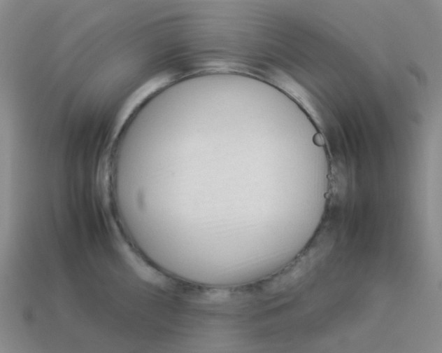 X0000113561098200910161451
