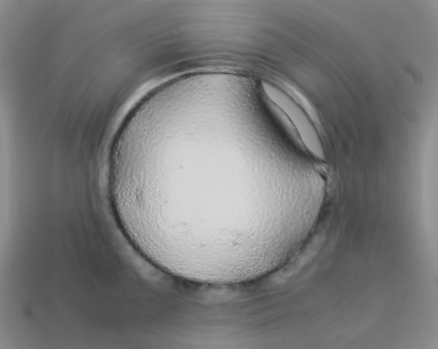 X0000113561099200910161451