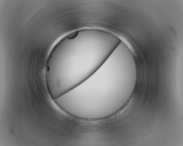 X0000113561100200910161451