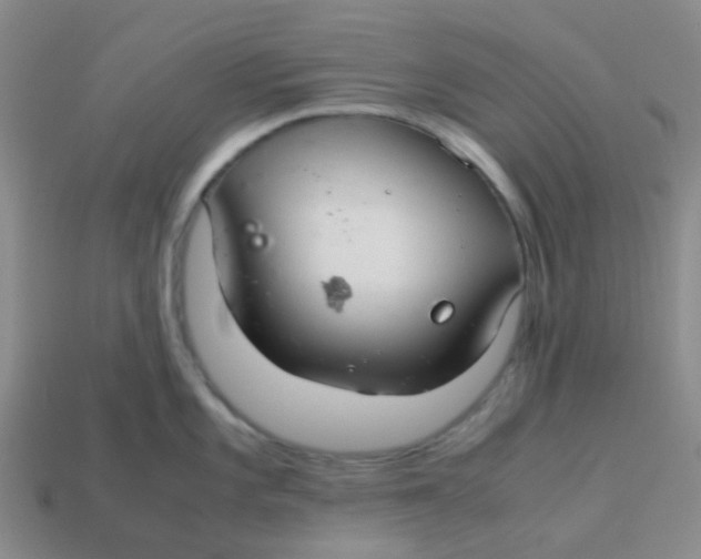 X0000113561101200910161451