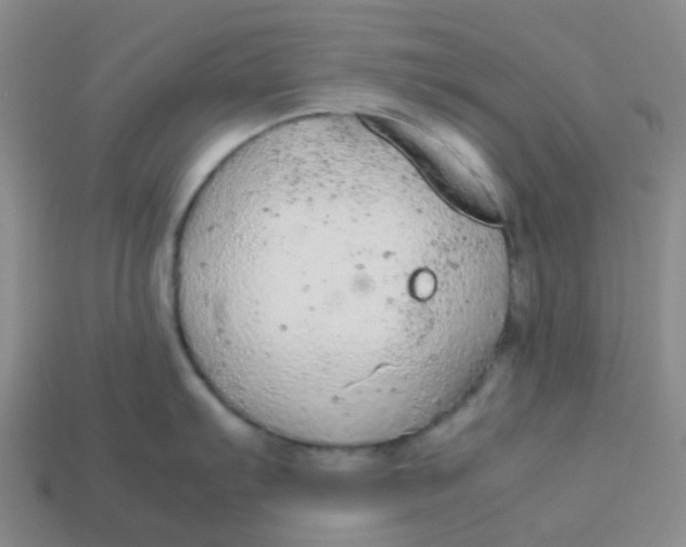 X0000113561103200910161451