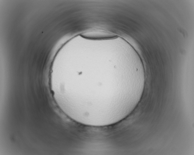 X0000113561104200910161451