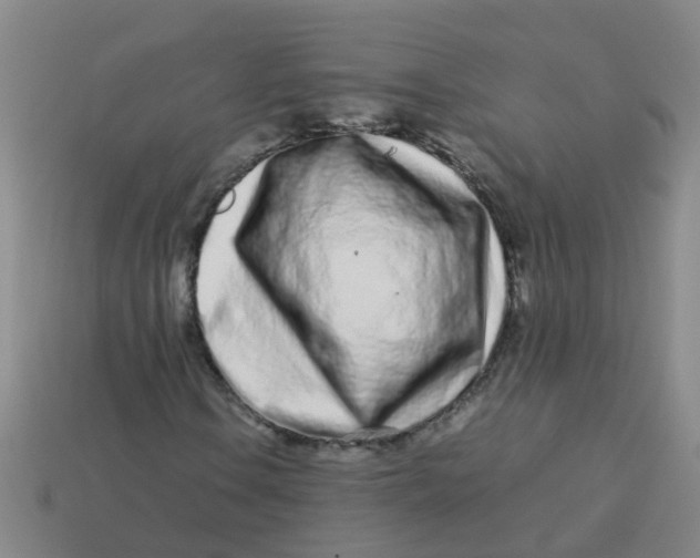 X0000113561106200910161450