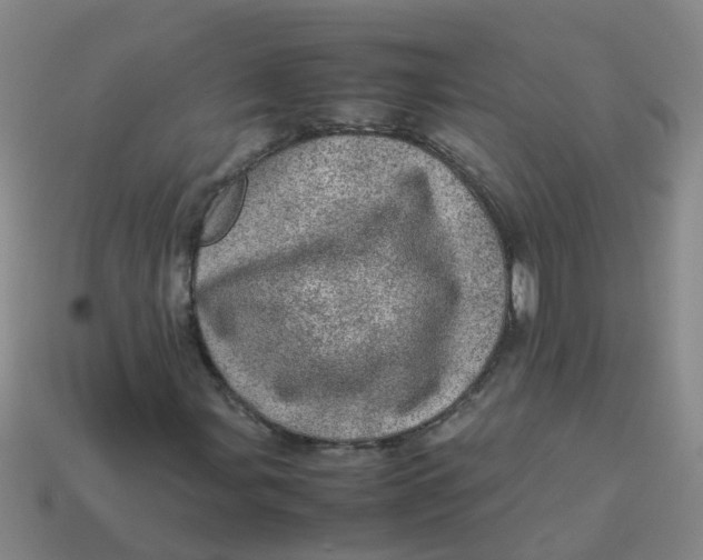X0000113561107200910161450