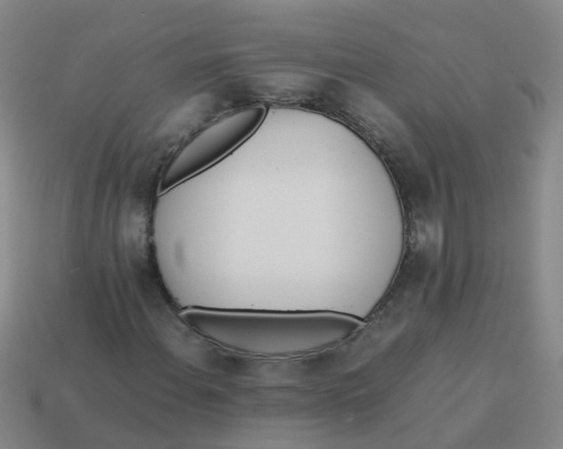 X0000113561108200910161450