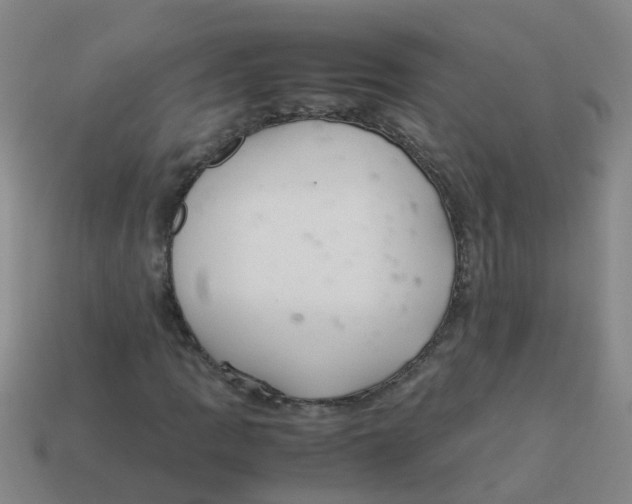 X0000113561109200910161450