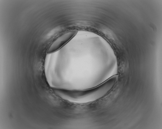 X0000113561110200910161450