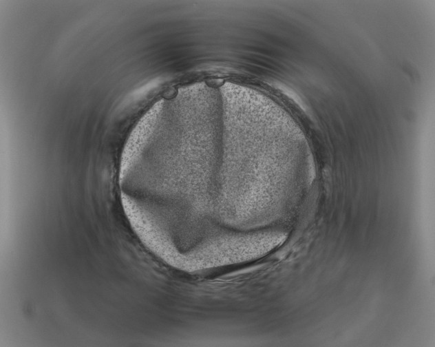 X0000113561111200910161450