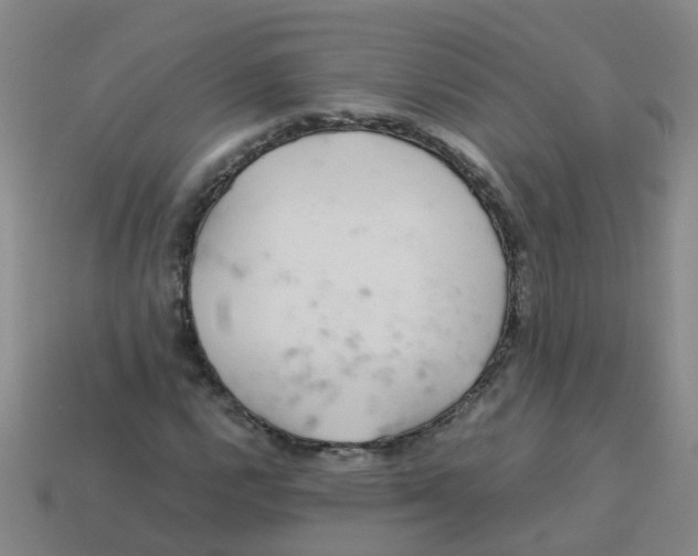 X0000113561112200910161450
