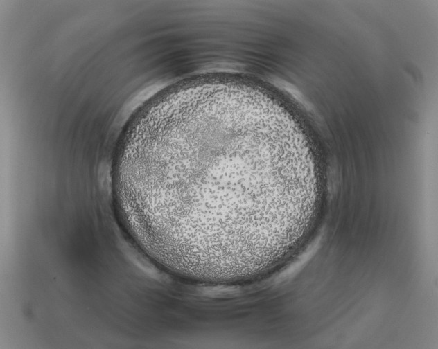 X0000113561113200910161450
