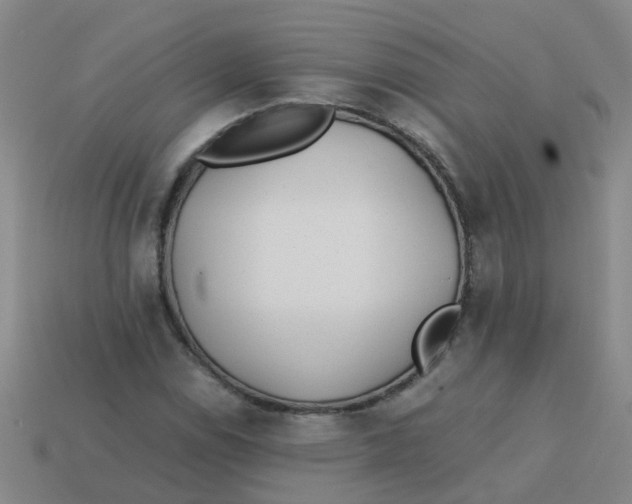 X0000113561114200910161450
