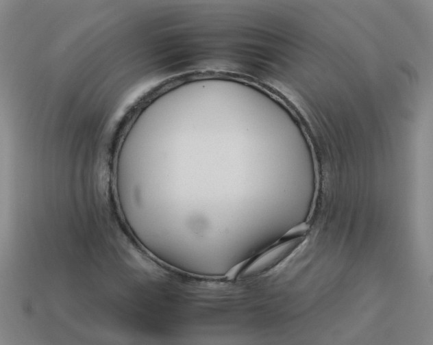 X0000113561115200910161450