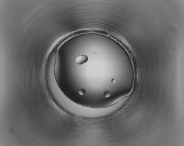 X0000113561116200910161450