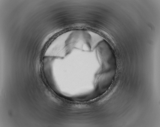 X0000113561117200910161450
