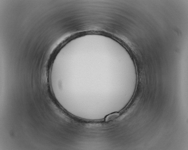 X0000113561118200910161450
