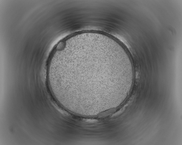 X0000113561119200910161450