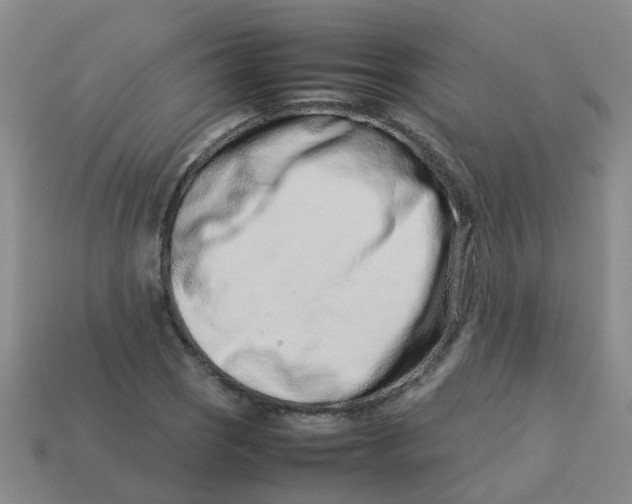 X0000113561121200910161450